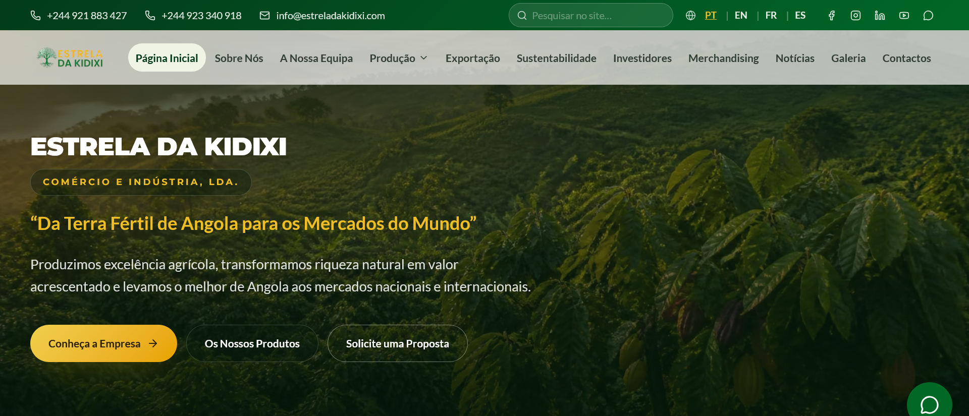 Estrela da Kidixi reforça presença digital com lançamento do seu website oficial